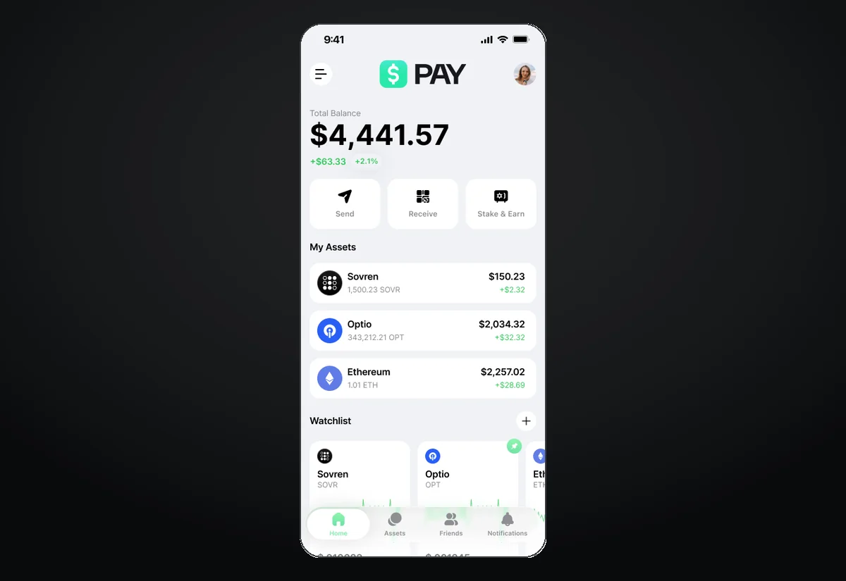 Pay wallet